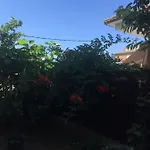 Casa De Aurora