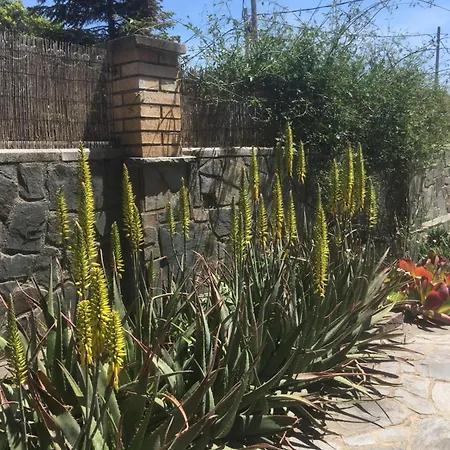 בית אירוח Casa De Aurora רובי