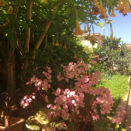 Casa De Aurora Rum i privatbostad