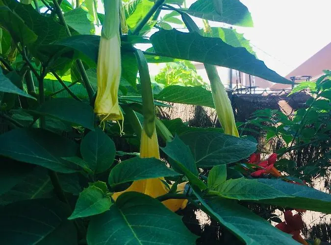 Casa De Aurora Rum i privatbostad Rubí