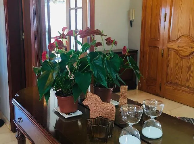 Casa De Aurora